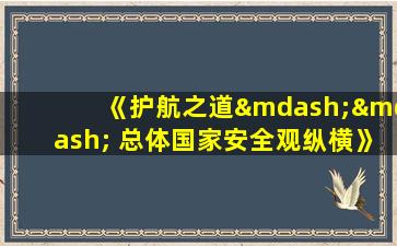 《护航之道—— 总体国家安全观纵横》观后感